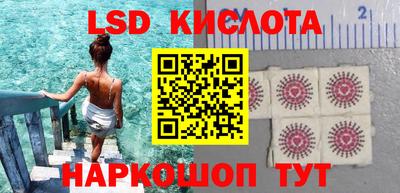 шишки Кимры